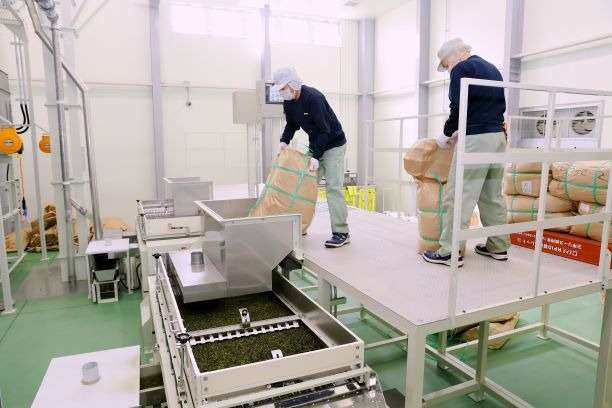 荒茶加工スタッフ【短期】